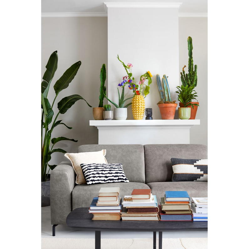 Bank Aveiro 2,5-Zits Plumb