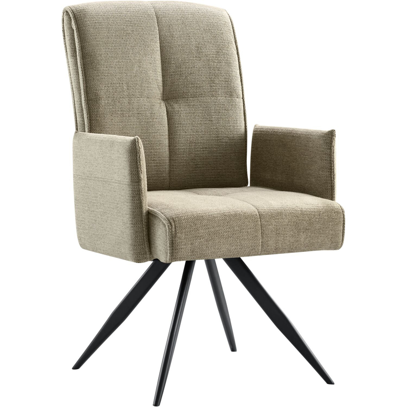 Armstoel Brooks Turtle