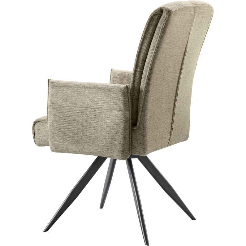 Armstoel Brooks Turtle