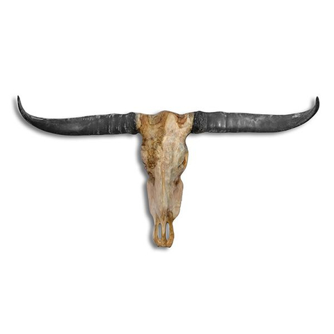 Stierenhoofd Bull Skull