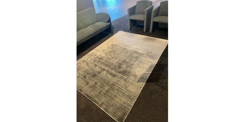 (Showroommodel) Leolux Evidence Karpet Milan