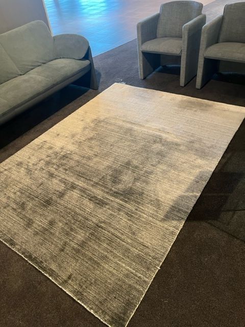 (Showroommodel) Leolux Evidence Karpet Milan