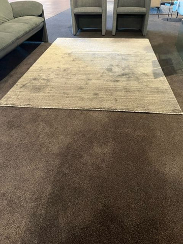 (Showroommodel) Leolux Evidence Karpet Milan