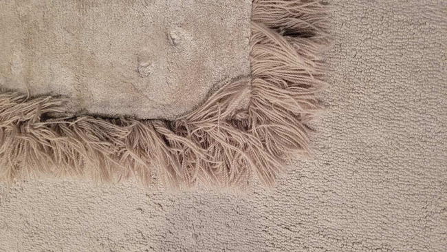 (Showroommodel) Leolux Vloerkleed Frame Stone