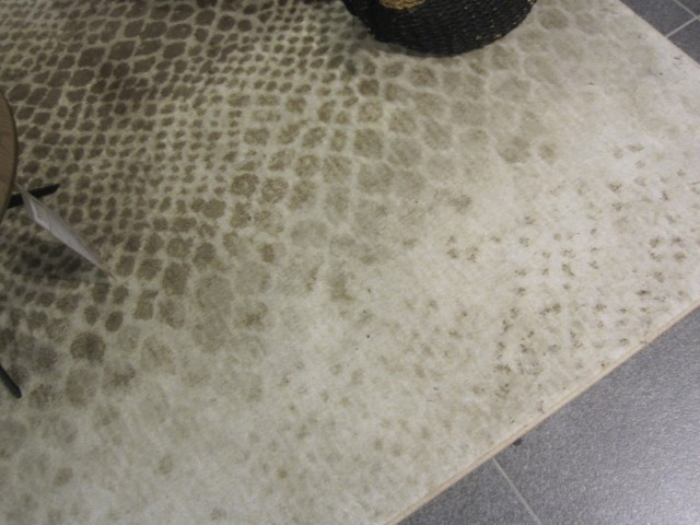 (Showroommodel) Feelings Vloerkleed Snake