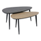 Salontafel Donyell Set/2