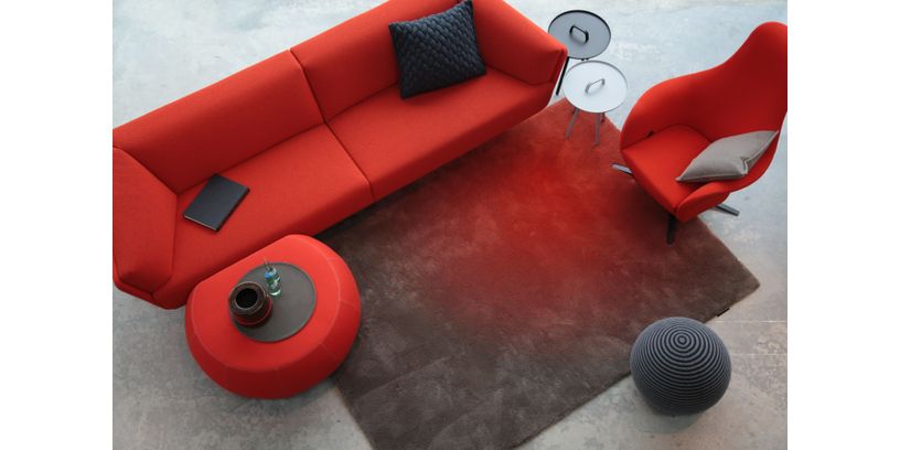 CS Rugs Vloerkleed Caméléon