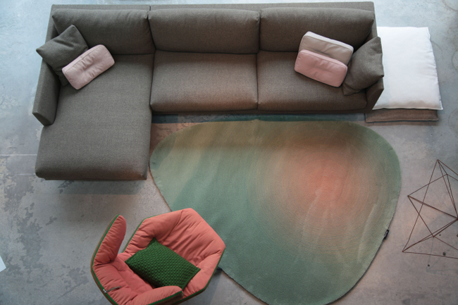 CS Rugs Vloerkleed Caméléon