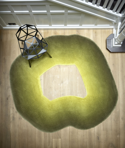 CS Rugs Vloerkleed Caméléon