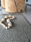 CS Rugs Vloerkleed Chalet 16 Mm Hoog Lussenpool