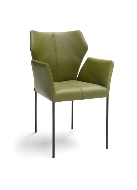 Bree's New World Armstoel Fly