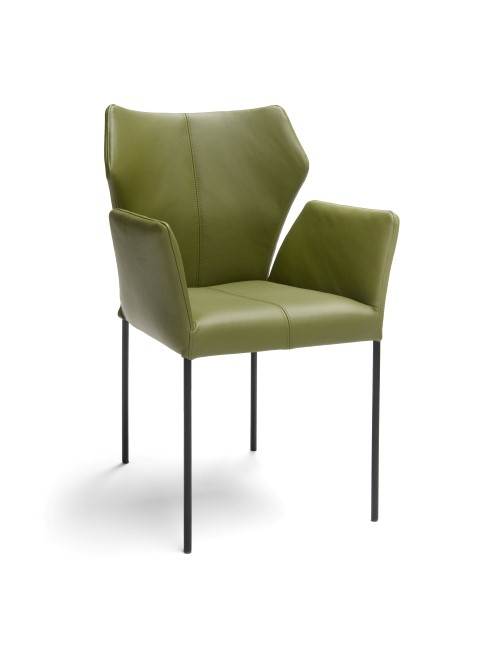 Bree's New World Armstoel Fly