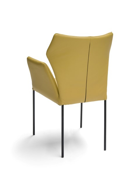 Bree's New World Armstoel Fly