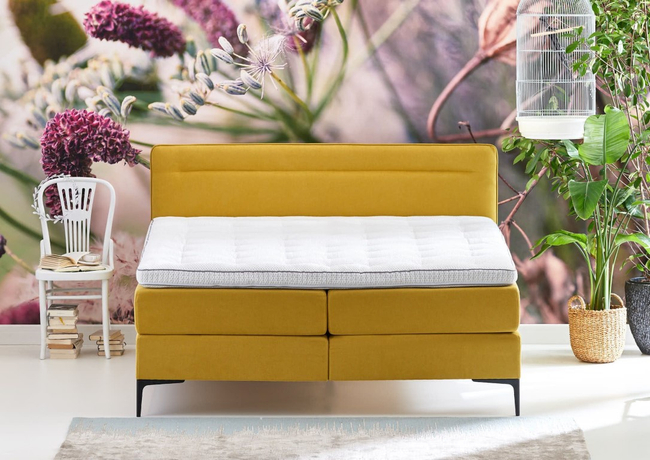 Cinderella Boxspring Tender Vast