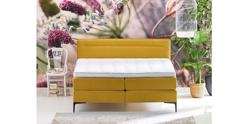 Cinderella Boxspring Tender Vast