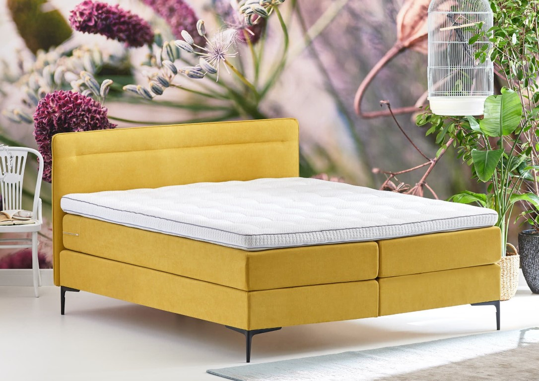 Cinderella Boxspring Tender Vast