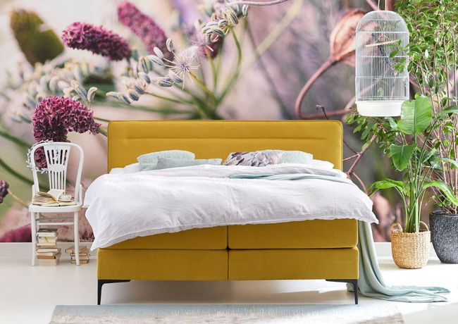 Cinderella Boxspring Tender Vast