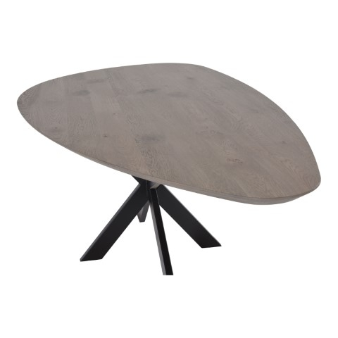 Eettafel Ravenholtz 200x110