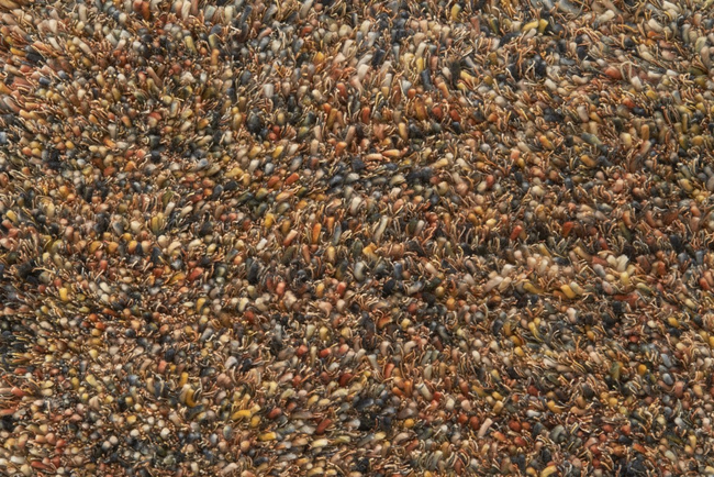 Montel Vloerkleed Tango Terra Mix