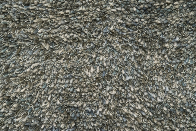 Montel Vloerkleed Tango Ocean Green