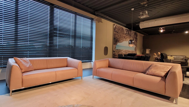 (Showmodel) De Sede Bank DS-0276 2,5-Zits + 3-Zits