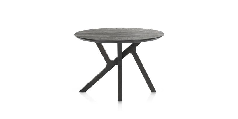 Xooon Bartafel Cosenza