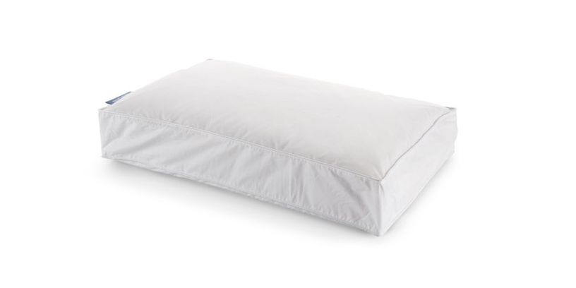 Equilli Hoofdkussen Latex Ergo Royal