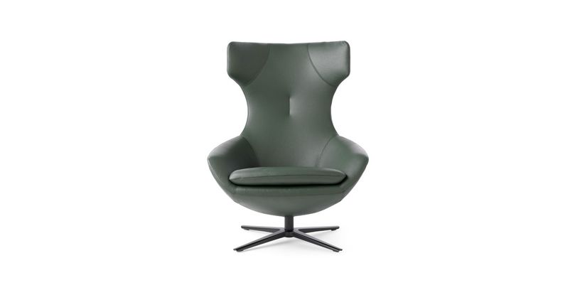 Leolux Fauteuil Caruzzo Basic