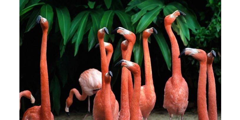 Wandkraft Wanddeco Bright Wings