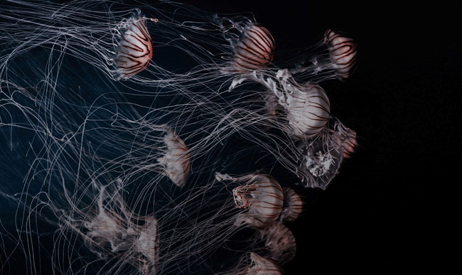 Wandkraft Wanddeco Wonderful Life