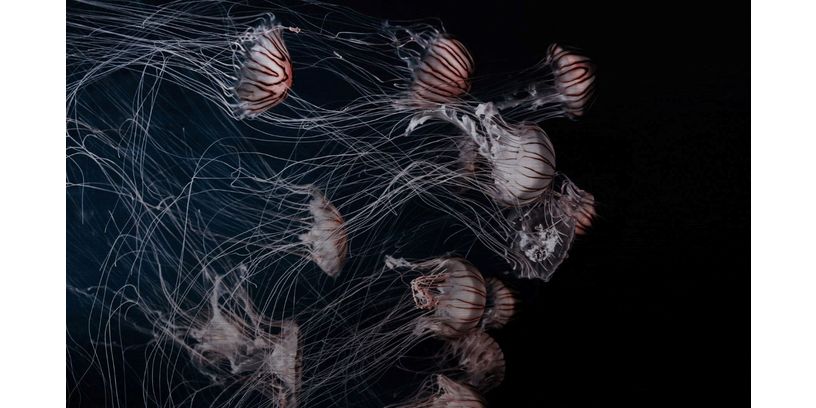 Wandkraft Wanddeco Wonderful Life