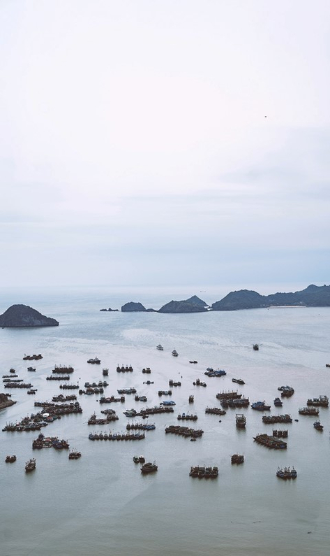 Wandkraft Wanddeco Land Of The Rising Sun