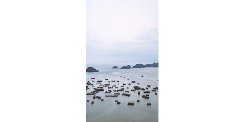 Wandkraft Wanddeco Land Of The Rising Sun