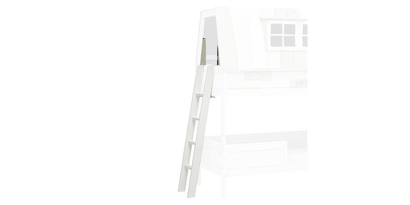 Lifetime Lange Ladder, 4 Traptreden Voor Hangout