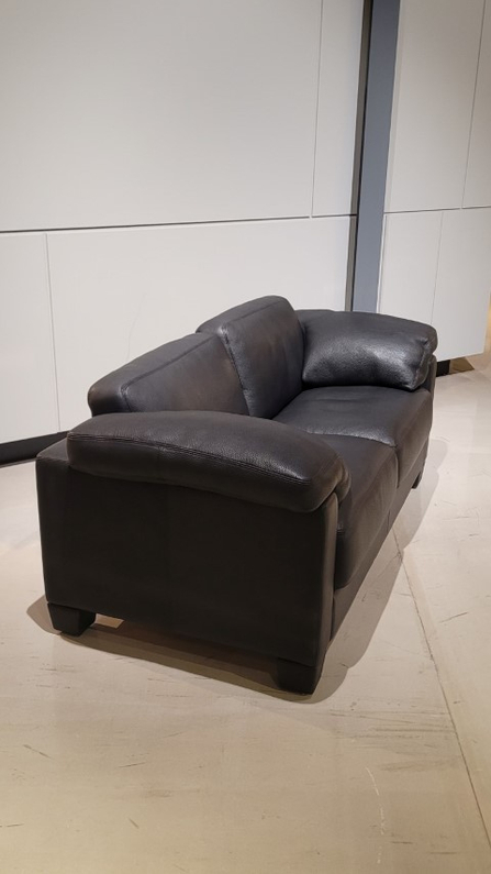 (Showroommodel) De Sede Bank DS-17 Black