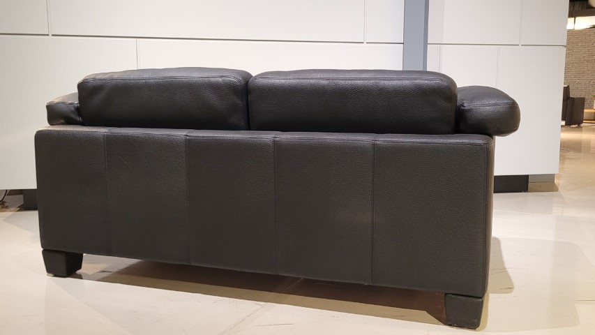 (Showroommodel) De Sede Bank DS-17 Black