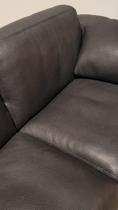 (Showroommodel) De Sede Bank DS-17 Black