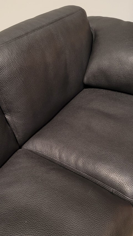 (Showroommodel) De Sede Bank DS-17 Black