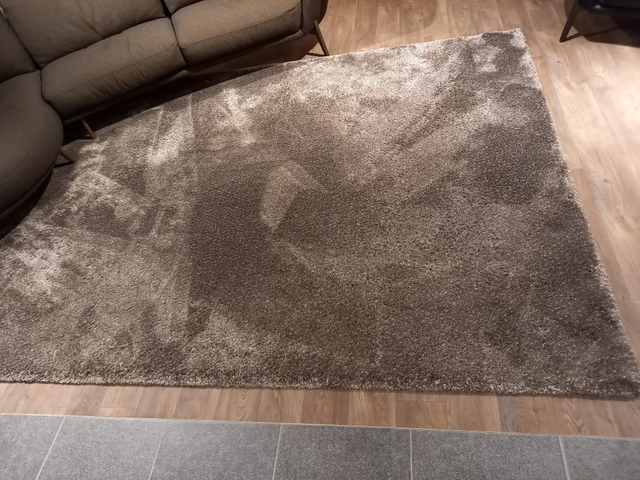 (Showroommodel) Leolux Karpet Amund Bear