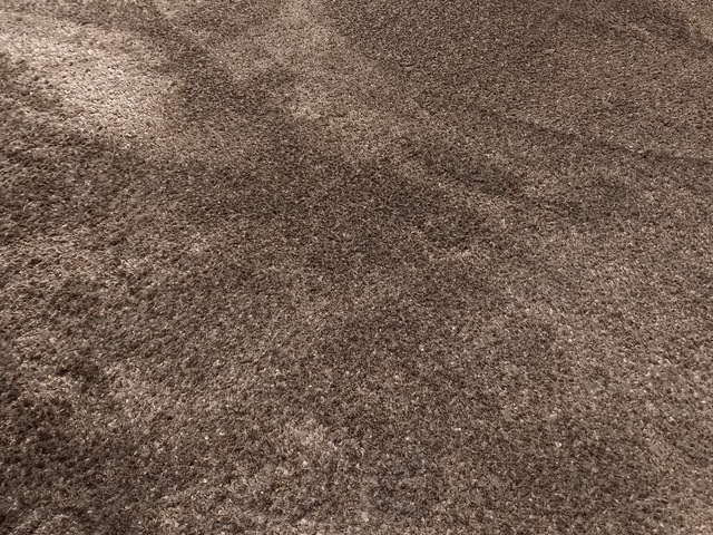 (Showroommodel) Leolux Karpet Amund Bear