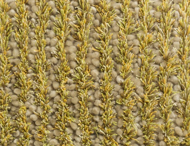 Millenerpoort Vloerkleed Doppio Cosmic