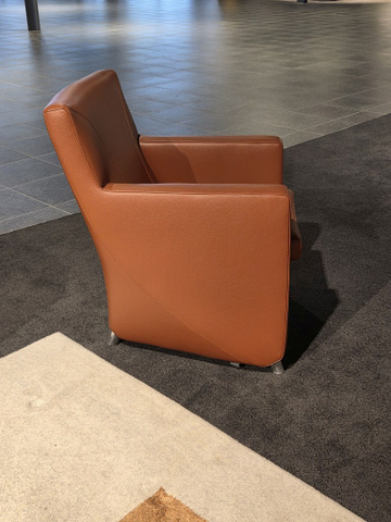 (Showroommodel)EvidenceByLeolux Fauteuil Dolcinea 