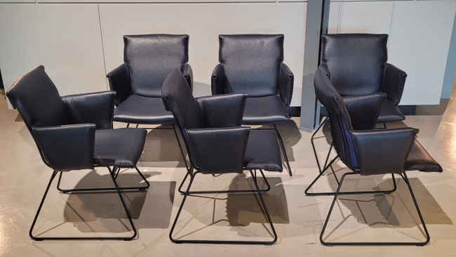 (Showroommodel) De Sede Armstoelenset DS-515 Paris