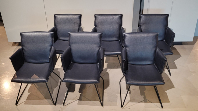 (Showroommodel) De Sede Armstoelenset DS-515 Paris