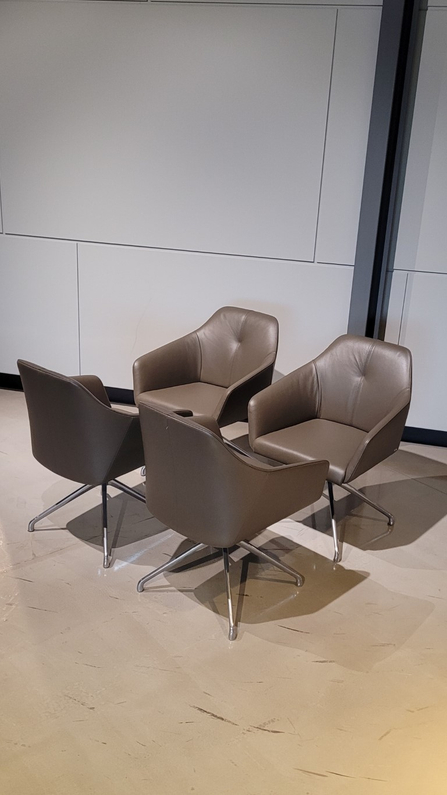 (Showroommodel) De Sede Armstoelenset DS-279 S/4