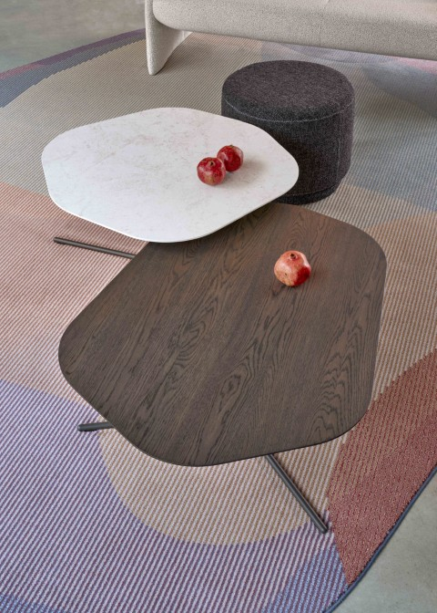 Leolux Salontafel Canopy