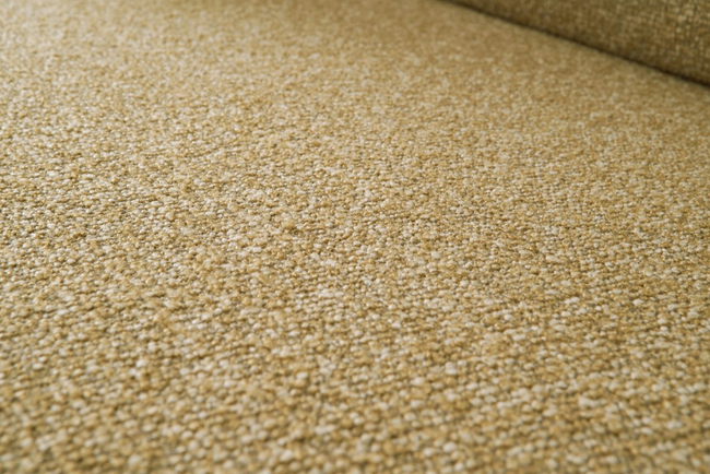 Montel Recamiere Bloom Curry