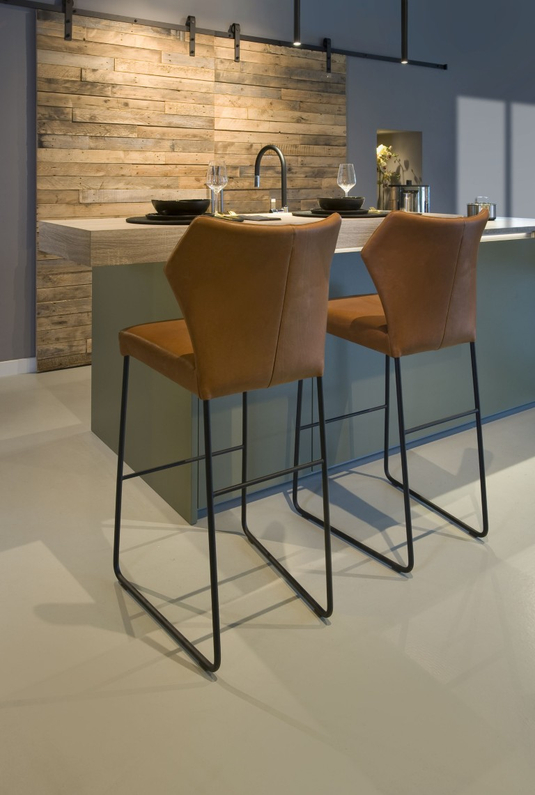 Bree's New World Barkruk Fly 