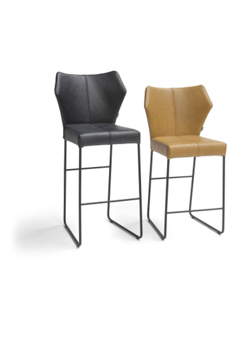 Bree's New World Barkruk Fly 