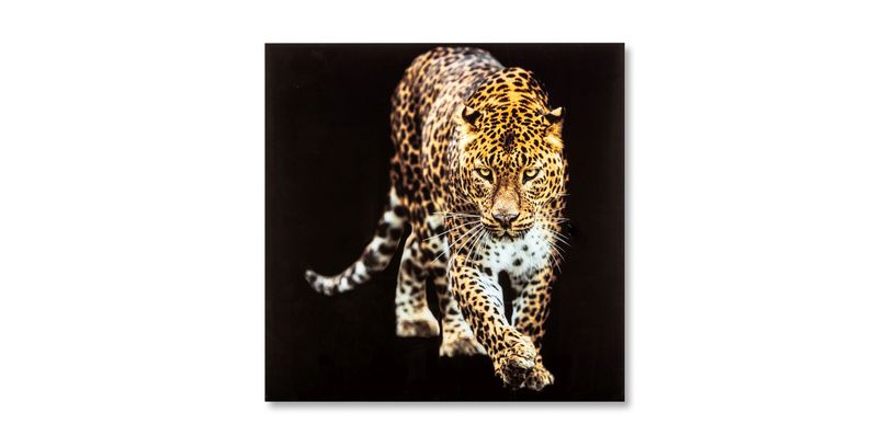 Feelings Wanddecoratie Leopard